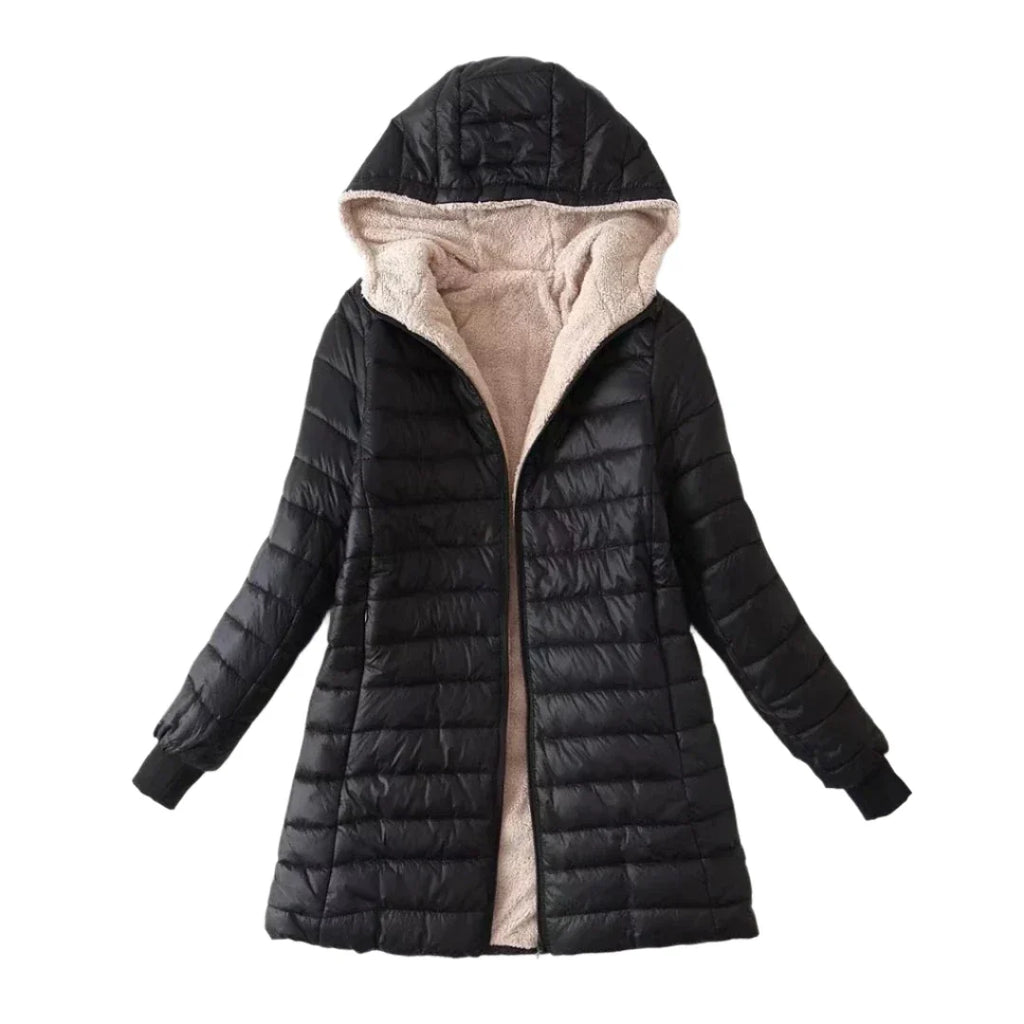 Laurent™ | Korean Jacket